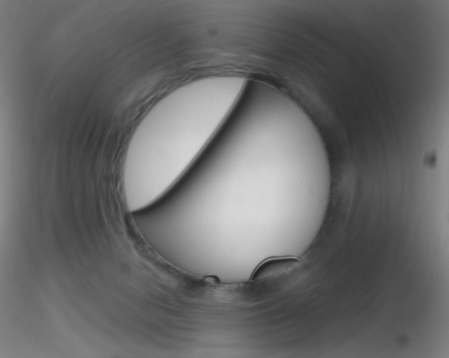 X0000116790078200912181104