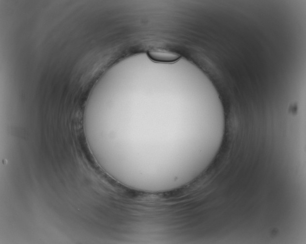 X0000116790079200912181104