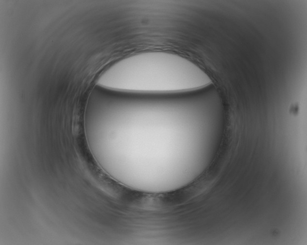 X0000116790080200912181104