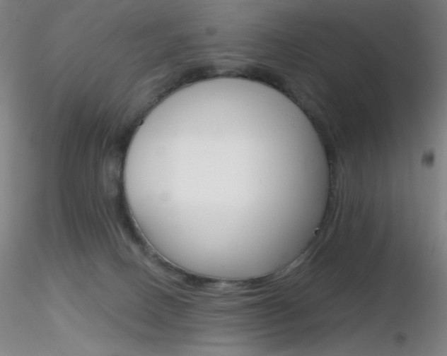 X0000116790082200912181104