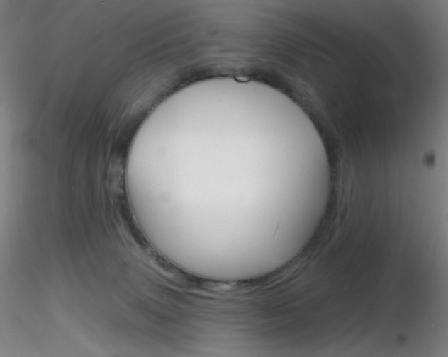 X0000116790083200912181104