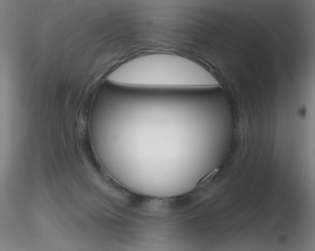 X0000116790084200912181105
