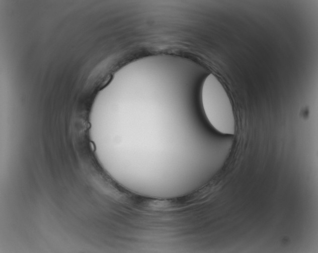 X0000116790085200912181105