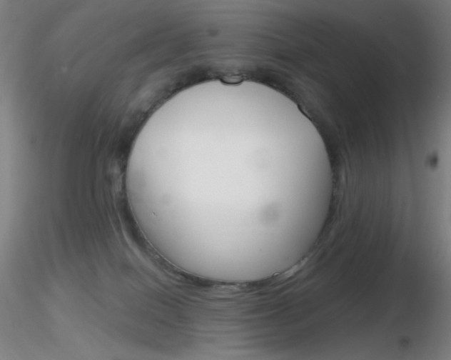 X0000116790086200912181105