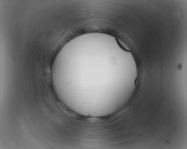 X0000116790087200912181105