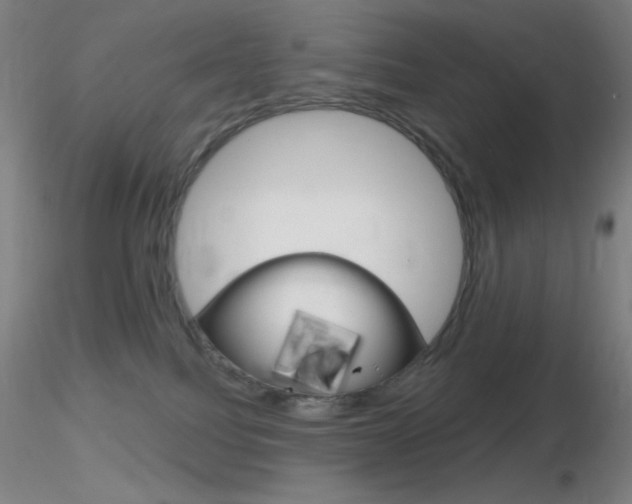 X0000116790088200912181105