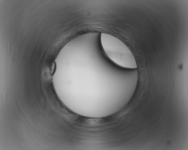 X0000116790089200912181105