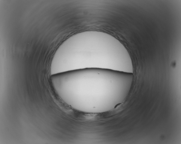 X0000116790090200912181105