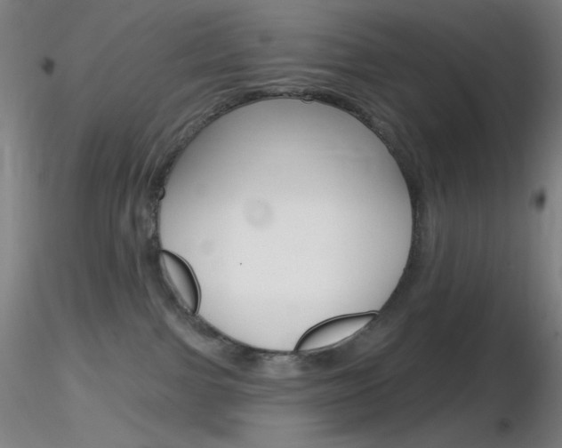 X0000116790091200912181105