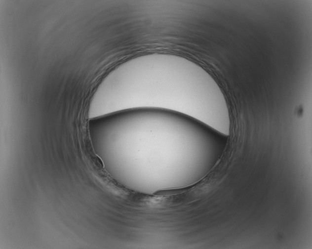 X0000116790092200912181105