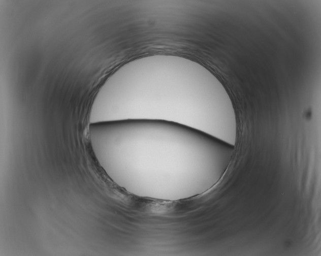X0000116790094200912181105