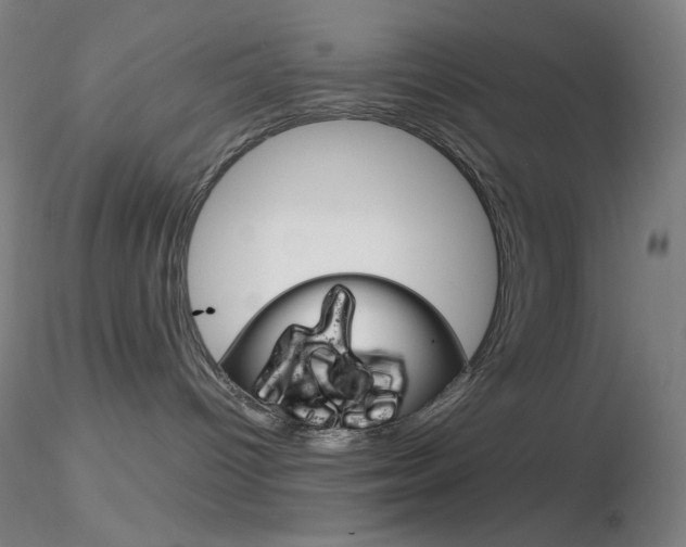 X0000116790096200912181105