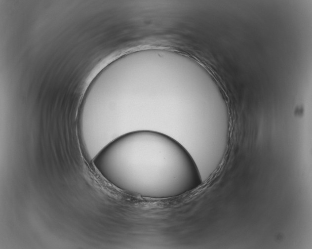 X0000116790100200912181104