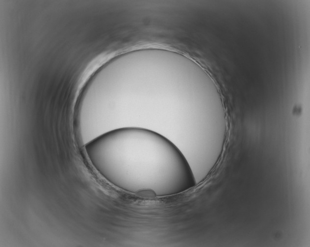 X0000116790104200912181104