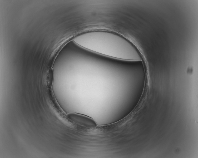 X0000116790105200912181104