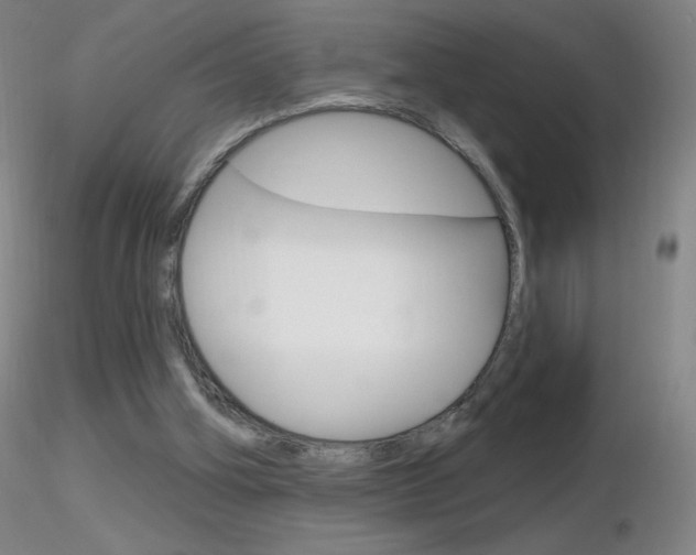 X0000116790106200912181104