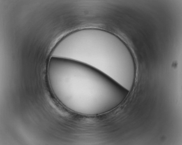 X0000116790107200912181104