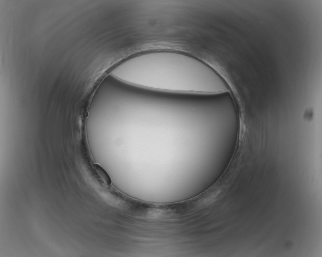 X0000116790109200912181104