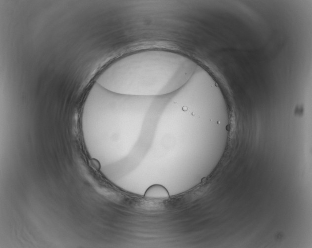 X0000116790110200912181104