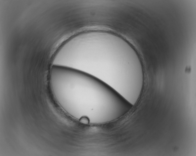 X0000116790111200912181104