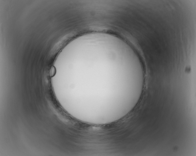 X0000116790114200912181104