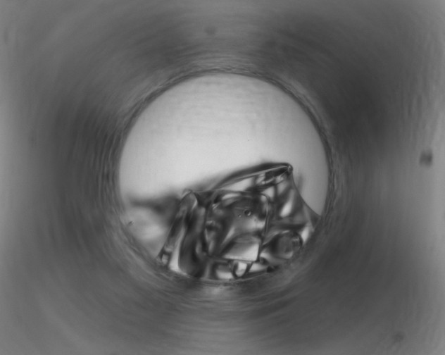 X0000116790117200912181104