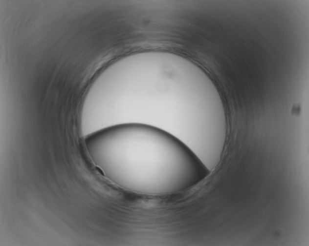 X0000116790120200912181104