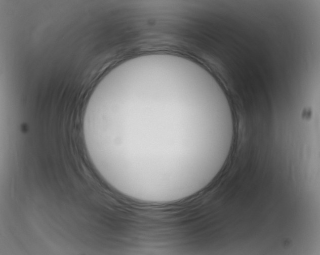 X0000116790121200912181104