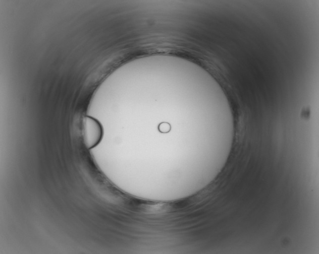 X0000116790122200912181103