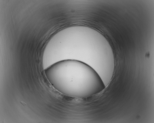 X0000116790124200912181103