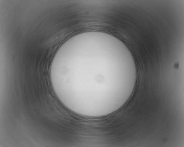 X0000116790125200912181103