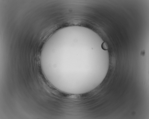X0000116790126200912181103