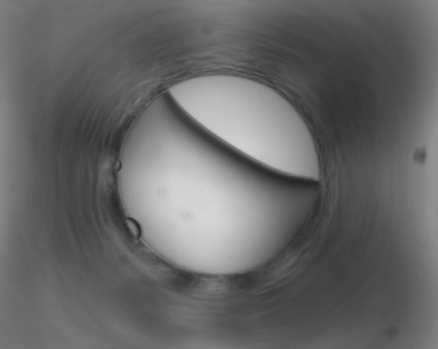 X0000116790127200912181103