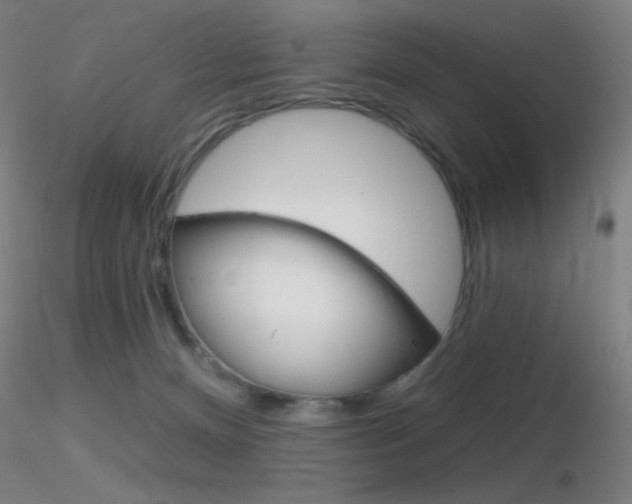 X0000116790128200912181103