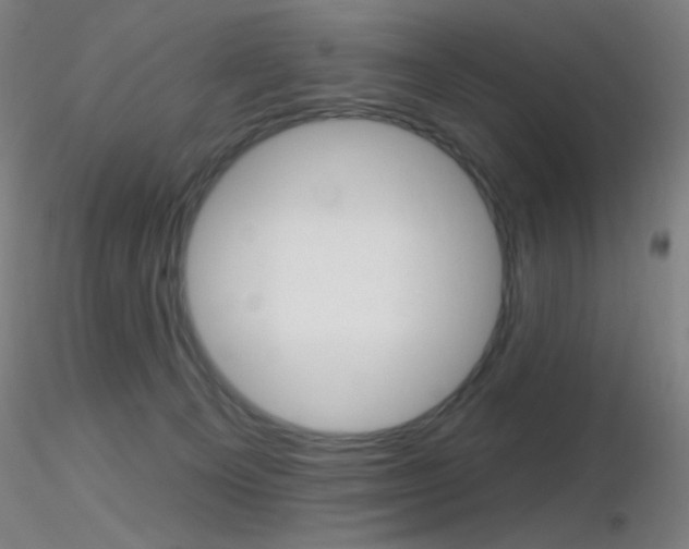 X0000116790129200912181103