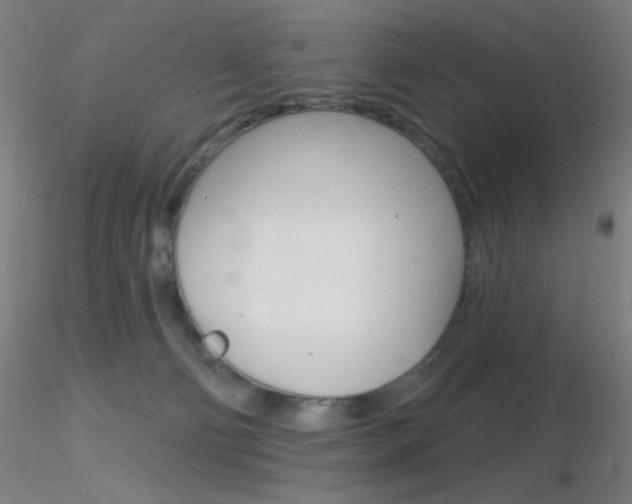 X0000116790130200912181103