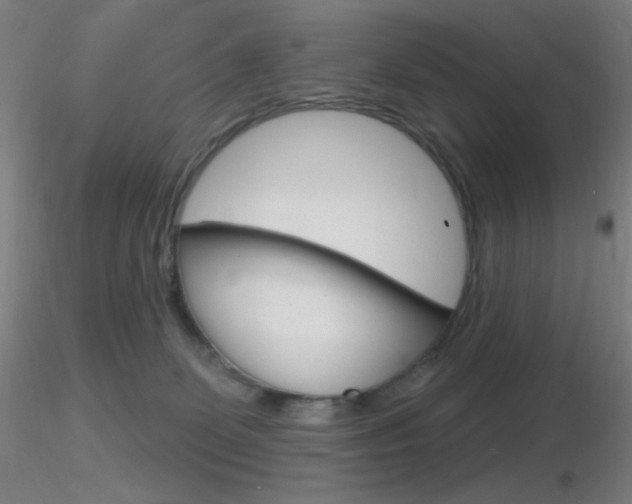 X0000116790131200912181103