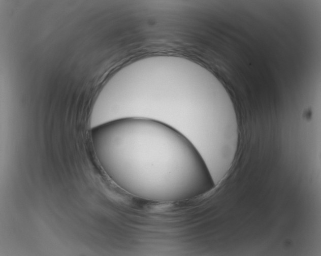 X0000116790132200912181103
