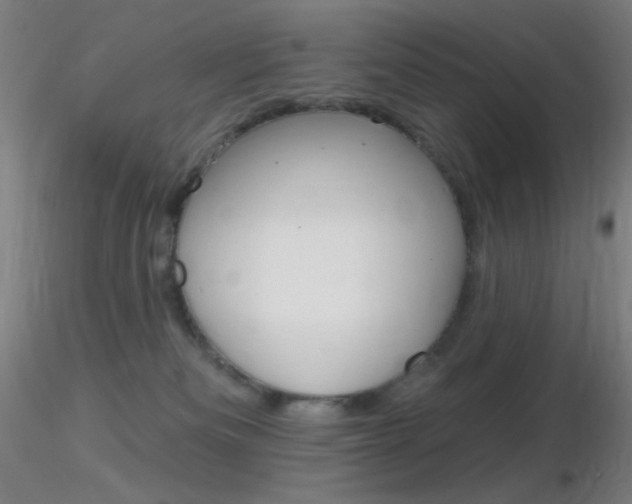 X0000116790133200912181103