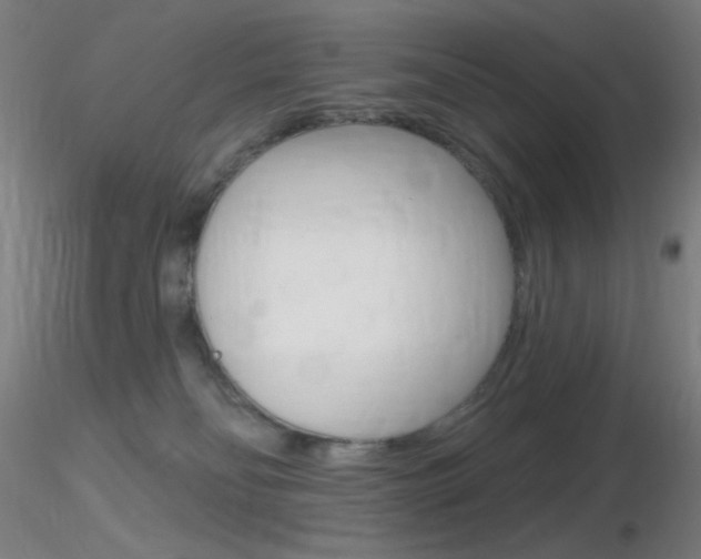 X0000116790134200912181103