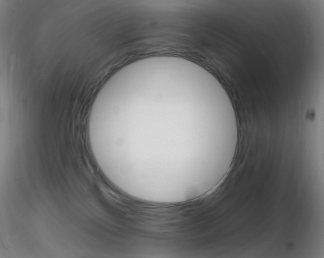 X0000116790136200912181103