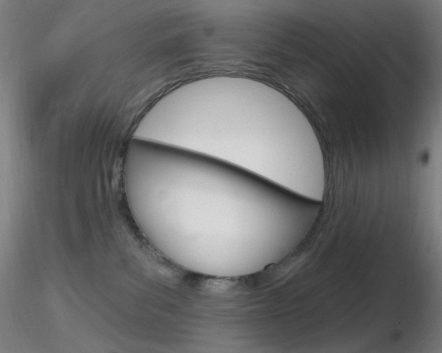 X0000116790139200912181103