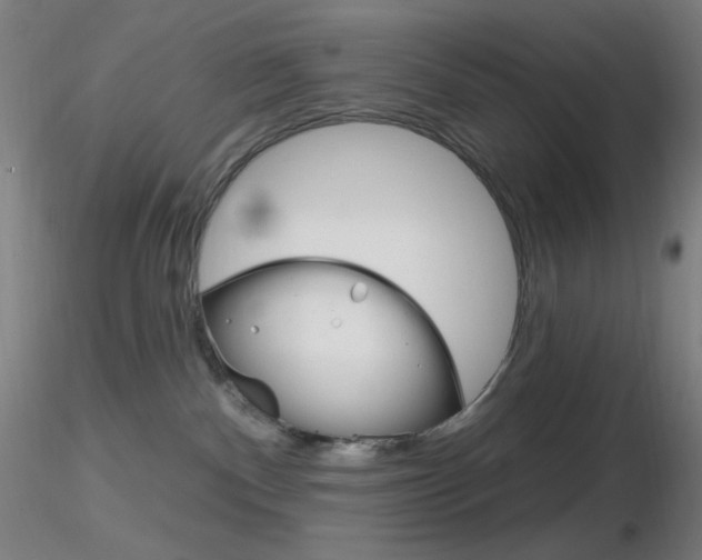 X0000116790140200912181103