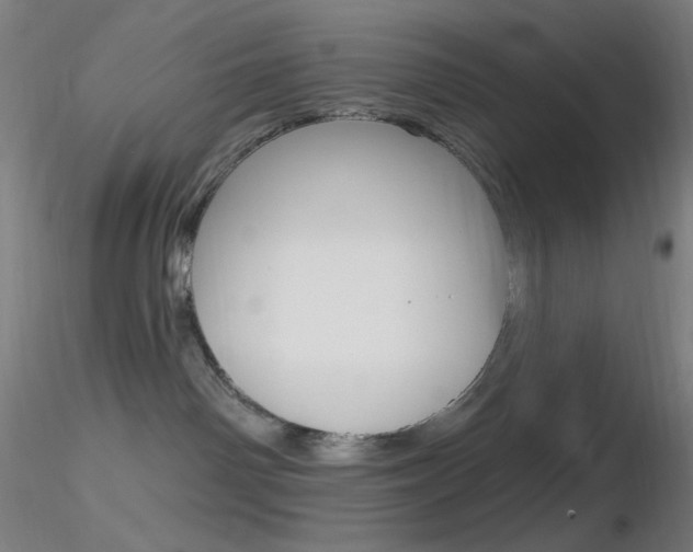 X0000116790142200912181103