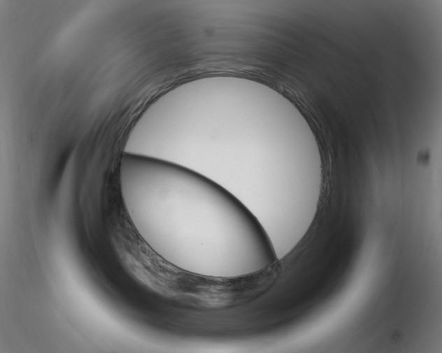 X0000116790143200912181103