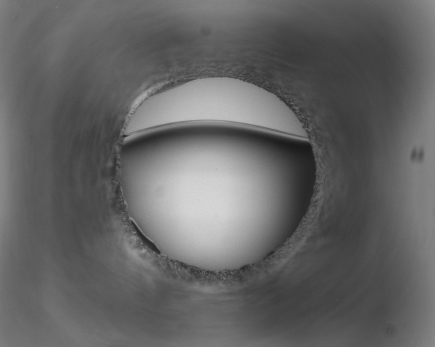 X0000116790144200912181103