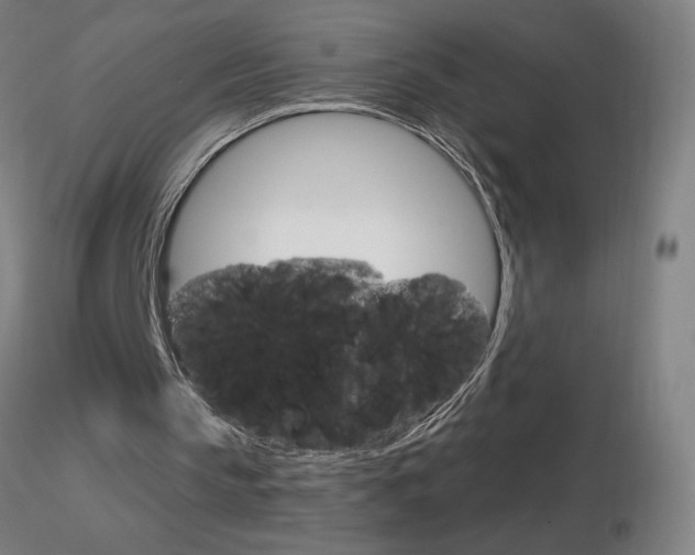 X0000116790145200912181102