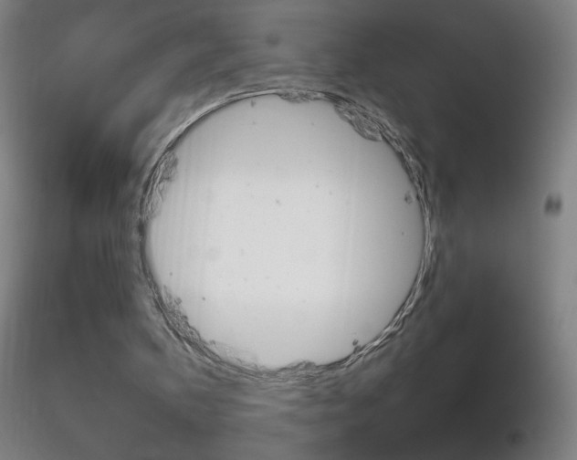 X0000116790146200912181102
