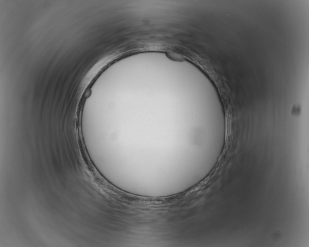 X0000116790147200912181102