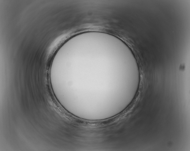 X0000116790149200912181102